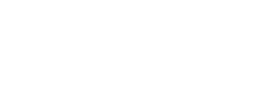 Shopping fever logo
